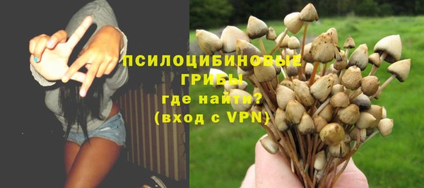 spice Арсеньев