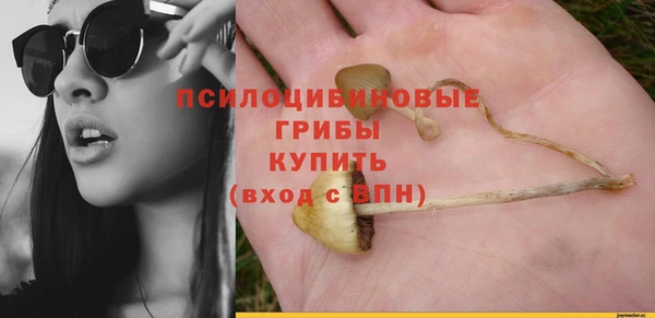 spice Арсеньев