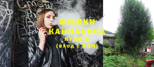 spice Арсеньев