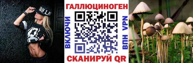 Псилоцибиновые грибы MAGIC MUSHROOMS  Теберда 