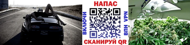 МАРИХУАНА сатива  что такое   omg онион  Теберда 